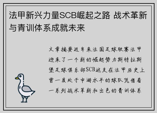 法甲新兴力量SCB崛起之路 战术革新与青训体系成就未来
